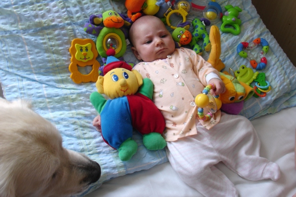 DSC04241.JPG
