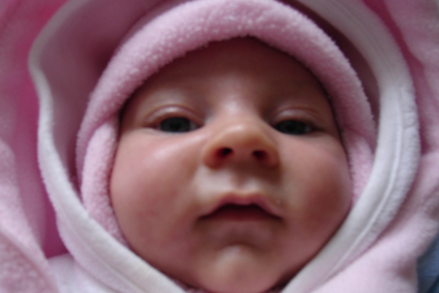 DSC04272.JPG