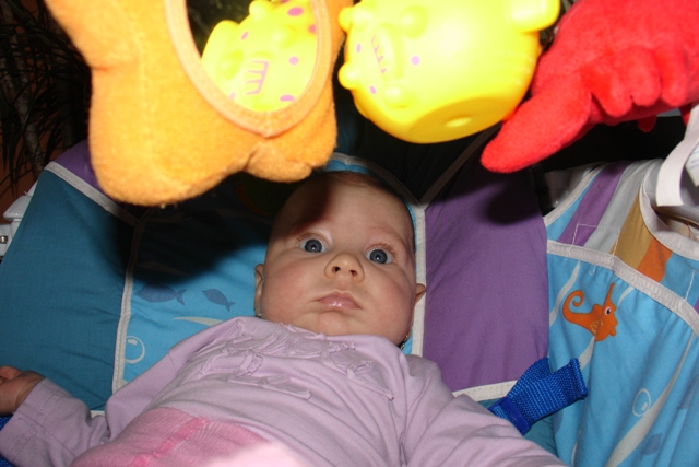 DSC04531.JPG