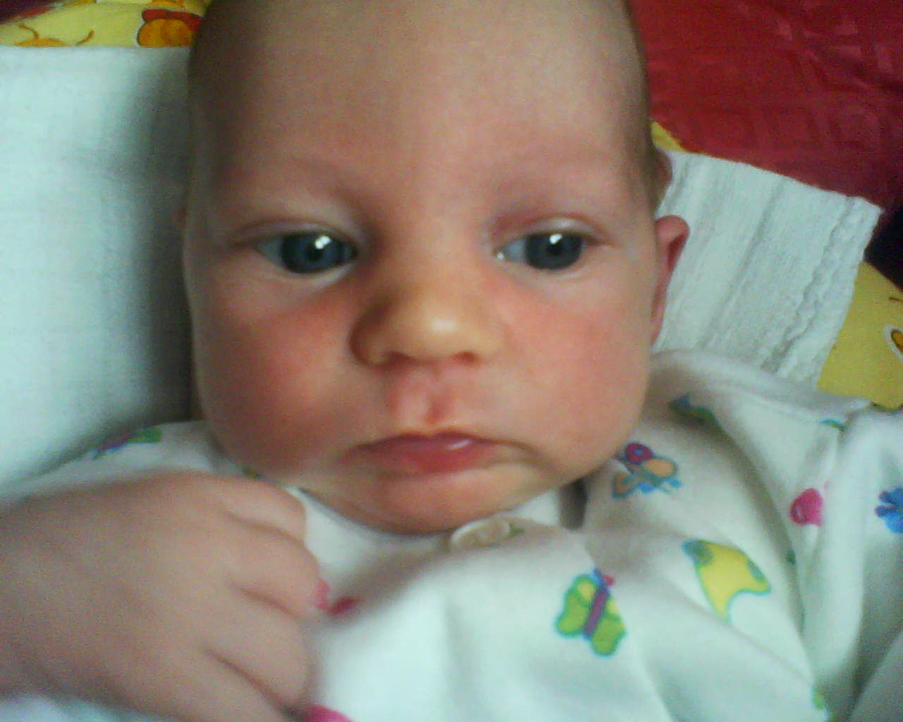 DSC00012.JPG