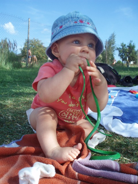 P1010293.JPG